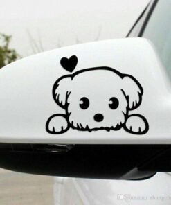 Sticker Autocollant Voiture chien caniche
