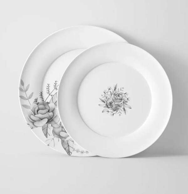 assiette-sub-grandess (1)
